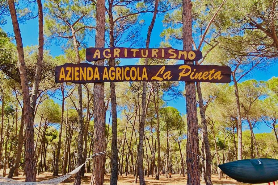 Agricampeggio La Pineta, Lesina